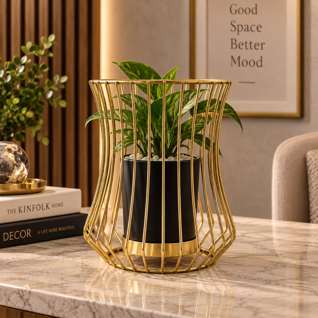 Gold cage planter for modern home decor