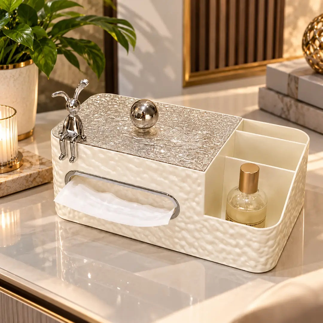 Modern tissue box holder with storage compartments